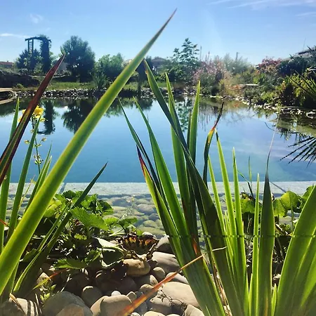 Couette-café Les Condamines